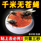 喜多蒼蠅藥養(yǎng)殖場專用農(nóng)村豬圈牛場全死絕豬圈牛棚養(yǎng)殖場飯店滅蒼蠅 5g 1個 單純體驗裝
