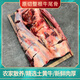 新鮮整根黃牛尾一整根 國產(chǎn)帶骨去皮牛尾巴 牛尾骨 散養(yǎng)黃牛肉 3斤整根去皮牛尾