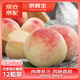 京鮮生四川 龍泉驛水蜜桃  12粒裝  單果約150-200g  生鮮水果