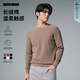 利郎長(cháng)絨棉針織衫男冬季打底衫2025新款質(zhì)感肌理耐洗易打理男士毛衣 咖色（G5DMS0043S） XL 175/88A
