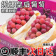 采緹（CAITI）順豐正宗云南妮娜皇后葡萄新鮮水果整箱紅寶石女王無(wú)籽酒香提子 精選2.8斤禮盒裝 單果10-15g