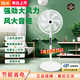 小米鍋巴2025新款遙控電風(fēng)扇落地扇家用超靜音一級能效強力辦公室宿舍臥室搖頭扇立式 16寸白色遙控電風(fēng)扇【輕底盤(pán)】