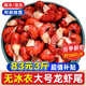 一蝦一世界大號(hào)無(wú)冰衣小龍蝦尾凈重500g/袋（110-120只）活剝冷凍熟麻辣蝦球 大號(hào)凈重3斤 麻辣料【500g*3袋】
