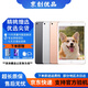 Apple蘋果 iPad Air1/Air2/Air3 迷你mini2/4/5 二手平板電腦ipad iPad mini5 256G WiFi版 9成新