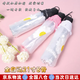 曇蓓漫透明雨傘便攜折疊全自動(dòng)一鍵全收傘簡(jiǎn)約高顏值創(chuàng)意拍照折疊傘 自動(dòng)款雛菊黑 8骨 （現(xiàn)代簡(jiǎn)約） 【升級(jí)加厚加固21寸自動(dòng)透明傘】