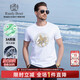Raidy Boer/雷迪波爾【3A抑菌+特牢鉆】男士飛馬圖案短袖T恤 7069 白色  175/50/L