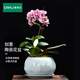 奧美優(yōu)花盆陶瓷家用多肉蝴蝶蘭專(zhuān)用綠植盆栽透氣防爛根花盆帶托盤(pán)一體