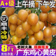 順豐新鮮雞心冰糖黃皮果4斤廣東黃皮郁南特產(chǎn)當(dāng)季孕婦水果核酸甜G 有核酸甜【正宗雞心黃皮】上午摘 試吃裝0.8斤迷你果貴在運費包裝