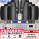 先科（SAST）P50壁掛式音響套裝音箱喇叭900W功放店鋪商用工程會(huì )議家用餐廳公共廣播背景音樂(lè )一拖十升級麥