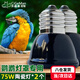 茨格曼鸚鵡保暖燈爬寵加熱燈寵物取暖器專(zhuān)用陶瓷燈泡鳥(niǎo)籠子取暖燈保溫燈 專(zhuān)用陶瓷燈50W*2個(gè)裝【無(wú)燈罩】