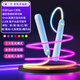 小懶焰炫彩發(fā)光跳繩兒童小學(xué)生專(zhuān)用幼兒園初學(xué)小孩健身成人減肥運動(dòng)夜光 天空藍-炫彩變色 亮度升級光纖繩