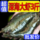 鮮享純【青島蝦】超大蝦新鮮大蝦冷凍鮮活青島大蝦批發(fā)整箱基圍蝦青蝦 15-17厘米鮮蝦速凍 3斤(凈重)