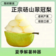 碭睿順豐包郵農(nóng)場直發(fā)碭山翠冠梨子青皮梨現(xiàn)摘現(xiàn)發(fā)新鮮水果生鮮館整箱 5斤/中果/普箱/適合自吃