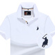 RW.SEPOLO高端品牌保羅polo衫男短袖商務(wù)翻領(lǐng)半袖男繡花衣服男士t恤衫潮 白色 XL