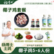 楊博士椰子雞湯火鍋套餐農家散養新鮮土雞雞肉 生鮮走地雞 5-6人份 5-6人份豪華版椰子雞套餐3.5kg