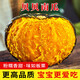 傾青果園貝貝南瓜正宗新鮮板栗味小南瓜栗面老瓜嬰兒小南瓜孕婦蔬菜 貝貝南瓜凈重 4.5斤 【4-8枚】