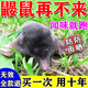 戶清驅(qū)鼴鼠神器鼴鼠驅(qū)趕器農(nóng)田莊稼花生地鼠專用藥防田鼠黃鼠狼的克星 一袋裝【驅(qū)地鼠專用藥包】