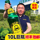 德倫堡順豐包郵Derenburg/德倫堡大桶 8度原漿精釀啤酒10L現(xiàn)貨 大桶啤酒 10L 1桶 單瓶裝