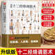 圖解十二經(jīng)絡(luò )調筋術(shù) 十二經(jīng)筋疏通法全圖解 一學(xué)就會(huì ) 50種經(jīng)筋病癥的康復訓練 12種經(jīng)筋功用介紹 10大經(jīng)筋療法方法解讀 圖解十二經(jīng)絡(luò )調筋術(shù)