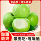 亨迅山西青蘋(píng)果水果現(xiàn)摘青平果酸甜孕婦整箱新鮮水果 【果農(nóng)推薦】?jī)糁?.5斤裝