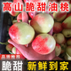 正宗云南黃金甘蔗黃皮新鮮超甜青皮非陶山黑皮5斤 云南高山【脆甜油桃】新鮮采摘 精選：脆甜大果【整箱5斤】單果60g+
