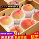 無錫白鳳水蜜桃 新鮮孕婦當(dāng)季水果軟毛桃子禮盒 12顆禮盒裝（6-8兩） 香甜大果