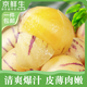 京鮮生 云南石林人參果 凈重3斤 單果50-80g 生鮮水果 源頭直發(fā)包郵