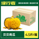 綠行者（GREER）正宗貝貝南瓜4.5斤栗香軟糯新鮮蔬菜生鮮粉糯甜香粗糧生鮮 貝貝南瓜 4.5斤