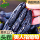 猗頓農品【頭茬】正宗美人指藍寶石葡萄金手指脆甜新鮮水果凈重1/5斤彩箱 凈重1斤【頭茬現摘】彩箱+順豐發(fā)貨