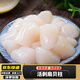 扇貝柱大顆?，幹迈r冷凍鮮貝柱鮮活現剝冷凍速凍元貝丁帶子肉海 甄選大號扇貝柱【3斤】