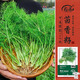 壽禾割茬小茴香種子種苗冬春蔬菜種籽 濰育壽絲割茬茴香種子10g*4袋