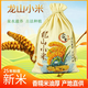 汶源黃25年新龍山小米黃小米新米農家月子小米山東濟南章丘特產(chǎn)龍山貢米 龍山小米5斤精品布袋