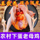 順豐速運老母雞兩年老公雞大公雞農家散養土雞新鮮冷凍宰殺母雞笨 老母雞1只【2-2.5斤】