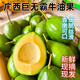 非進(jìn)口水果正宗廣西白沙巨無(wú)霸牛油果新鮮現摘孕婦寶寶輔食 2斤