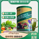 盛鑫眾康苜蓿酵素固體飲料華林酸堿平大桶紫花復(fù)合果蔬粉 1桶裝