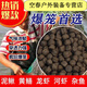 芮帕黑蚯蚓羊油黑顆粒蝦籠捕魚(yú)網(wǎng)籠黃鱔誘餌抓龍蝦河蝦泥鰍黃鱔 魚(yú)餌 袋裝蚯蚓羊油顆?！?斤】+20餌料袋