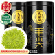 樂品樂茶綠茶頭采芽毛尖特級2025新茶明前嫩芽高端茶葉禮盒送人中秋節(jié)送禮
