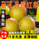 順豐正宗山西丹霞紅梨9斤現(xiàn)摘新鮮水果多汁酥脆酥梨雪梨薄皮香梨Y 9斤【現(xiàn)摘現(xiàn)發(fā)】