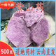 北京同仁堂參薯中藥材云南紫山藥古天根腳板薯紫玉淮山參薯大薯紫薯蕷材 100·克 云南野生