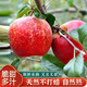 吉果叔 正宗云南昭通丑蘋(píng)果 新鮮水果應當季紅富士冰糖心蘋(píng)果 整箱 凈重2.8斤 【迷你果】果經(jīng)60-65mm