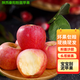 陜西秦冠秦陽(yáng)粉面沙甜蘋(píng)果老人寶寶刮泥新鮮水果 秦陽(yáng)4.5斤中果