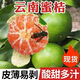 正宗云南現(xiàn)摘青皮小蜜桔酸甜多汁新鮮時(shí)令橘子整箱現(xiàn)發(fā) 5斤帶箱凈重4.5斤 精品裝單果40g+