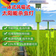 德國精工風(fēng)吸式物聯(lián)網(wǎng)太陽(yáng)能殺蟲(chóng)燈農用滅蟲(chóng)燈戶(hù)外高標準農田果園 30瓦太陽(yáng)能板12AH蓄電池風(fēng)機6W
