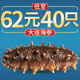 皇家麒麟 即食海參 即食大連刺參單個裝遼刺參海參干貨水產禮盒凈含量500g 7A即食海參 31-40只/斤 一斤裝