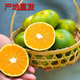 盈余 云南蜜桔 青皮橘子 酸甜橘子 無籽桔子 新鮮應(yīng)季孕婦水果 大果5斤裝