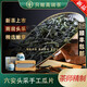 唯茶六安雨前頭采瓜片2025新茶官方旗艦店特級茶葉禮盒裝送禮