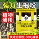 智綠快速生根粉植物通用營(yíng)養液扦插移栽強力生根劑養花卉肥料 快速生根粉1000g【植物通用】