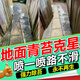 水泥地面清潔劑地鋪石黑垢青苔油污地板強力去污庭院瓷磚石材清洗 魚(yú)缸除藻劑 300ml 1瓶