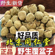 北京同仁堂正宗野生覆盆子中藥材正品覆盆子茶鮮果泡水棚桑葚 覆盆子2罐共250克