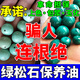綠松石泡油專用油手串珠寶配飾翡翠瑪瑙保養(yǎng)上色包漿玉化液高滲透 1瓶裝【玉石專用】